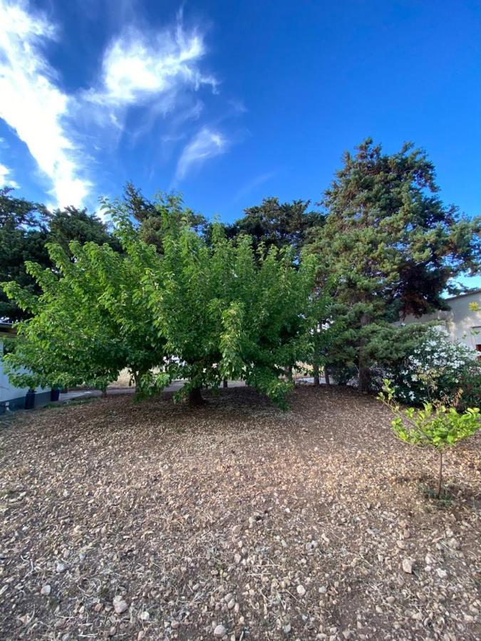La Casa Del Gelso Lejlighed Tonnara di Bonagia Eksteriør billede