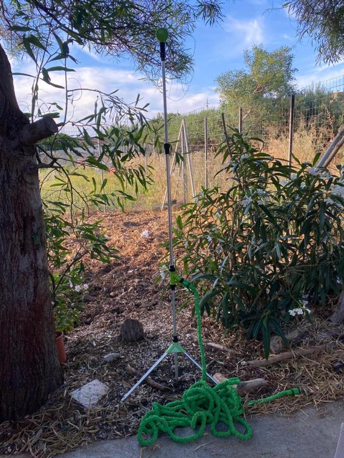 La Casa Del Gelso Lejlighed Tonnara di Bonagia Eksteriør billede