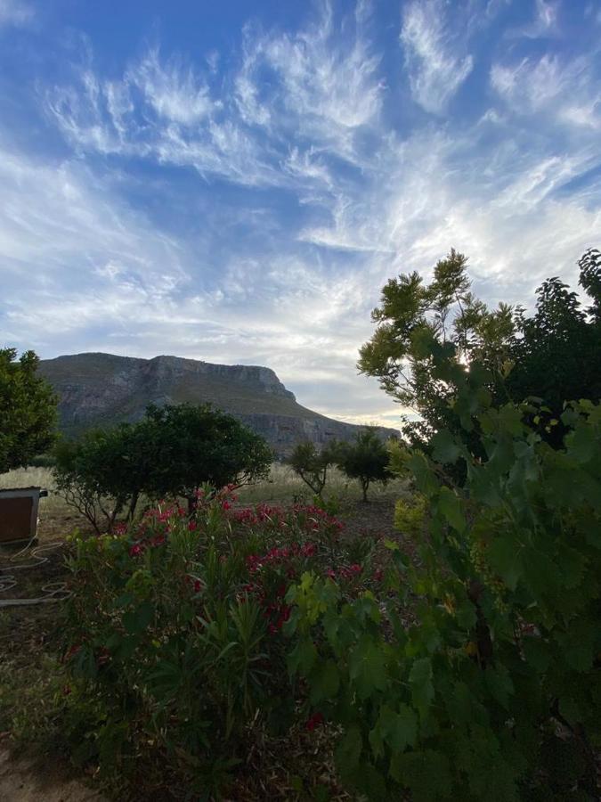 La Casa Del Gelso Lejlighed Tonnara di Bonagia Eksteriør billede