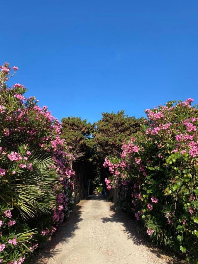 La Casa Del Gelso Lejlighed Tonnara di Bonagia Eksteriør billede